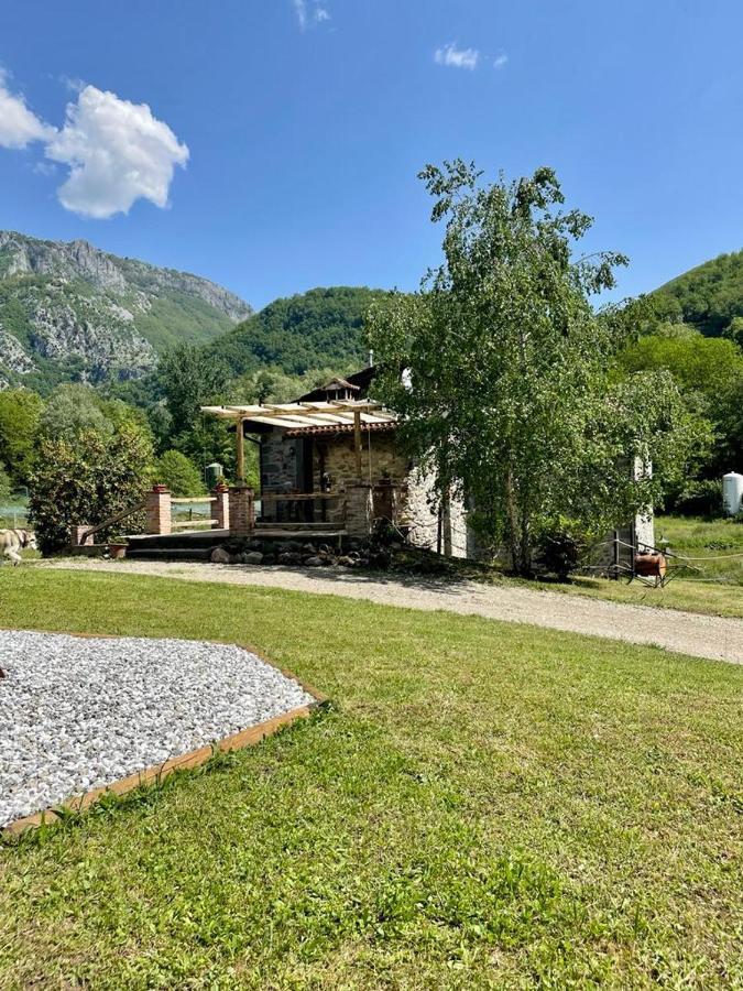 Villa Le Macine Magnano  Exterior foto
